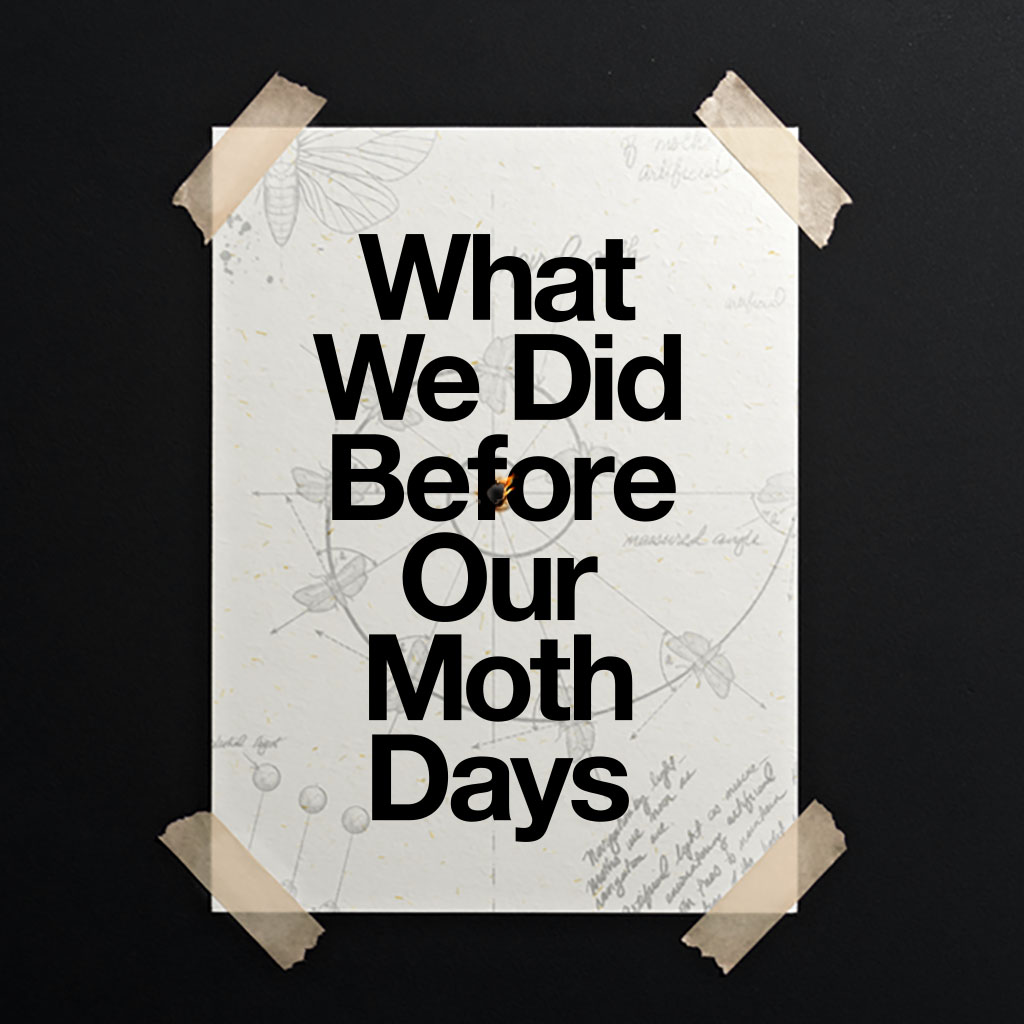 What We Did Before Our Moth Days